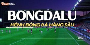 Tầm nhìn của kênh thể thao Bongdalu